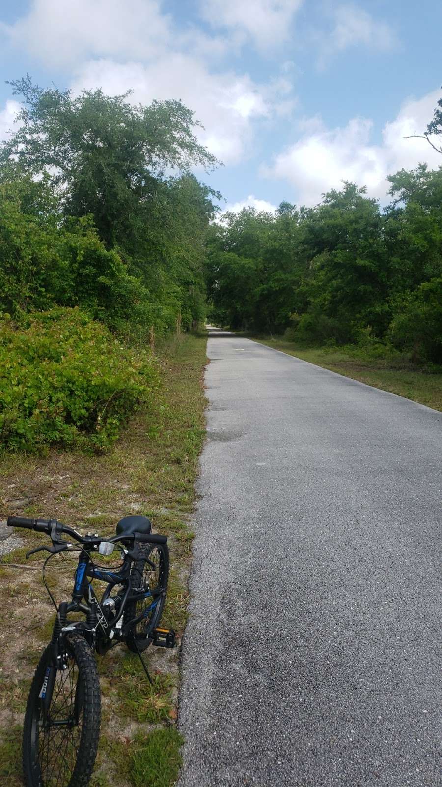 Van Fleet Trail - Bay Lake Trailhead | Van Fleet Trail, Groveland, FL 34736, USA