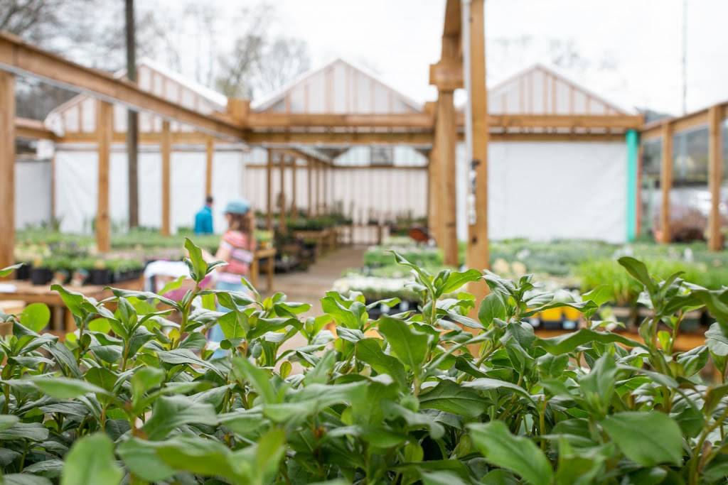 Bates Nursery and Garden Center | 3810 Whites Creek Pike, Nashville, TN 37207, USA | Phone: (615) 876-1014