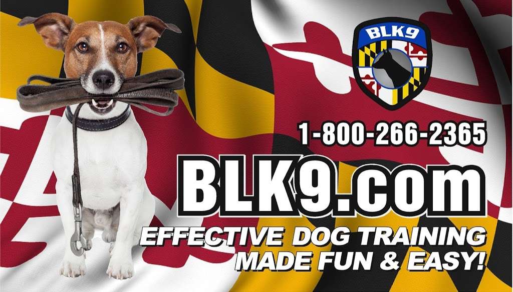 Blue Line K-9, Inc Dog Training | 800 Pulaski Hwy, Joppa, MD 21085, USA | Phone: (800) 266-2365