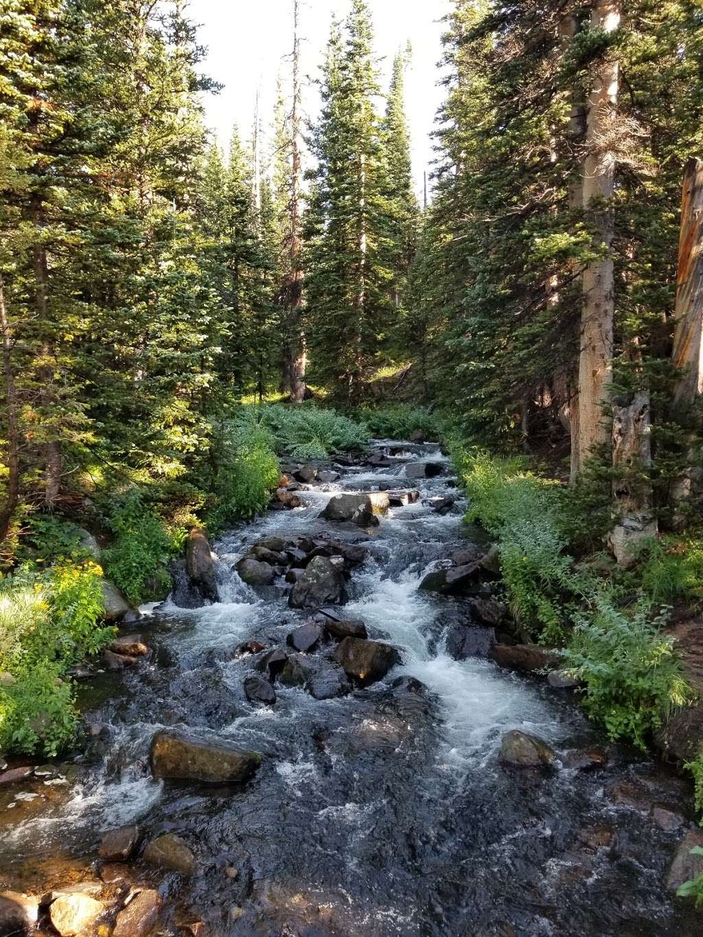 Mitchell Lake Trailhead | Forest Rd 1122C, Ward, CO 80481