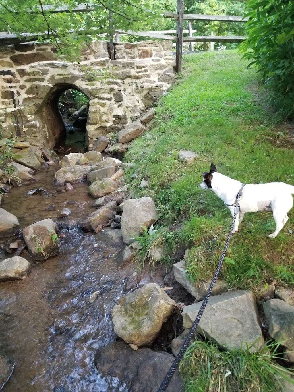 Natural Lands Binky Lee Preserve | 1445 Pikeland Rd, Chester Springs, PA 19425, USA | Phone: (610) 353-5587