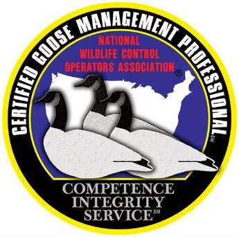 Indiana Wildlife Management LLC. | 83 N 4th Ave, Beech Grove, IN 46107, USA