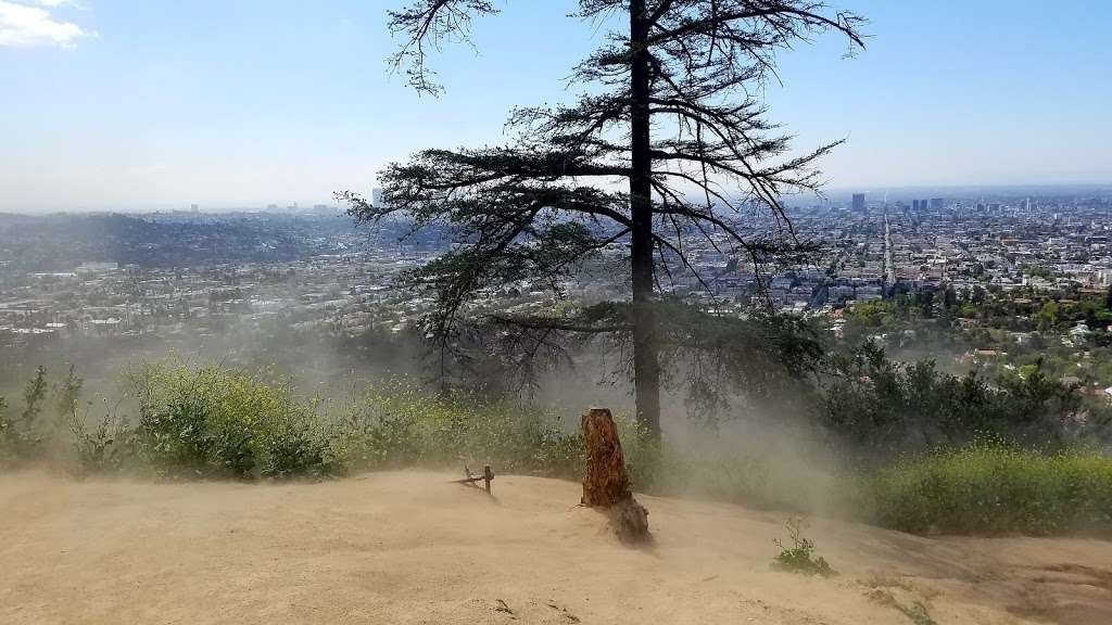 Firebreak Trail to Griffith Observatory | Western Canyon Rd, Los Angeles, CA 90068, USA