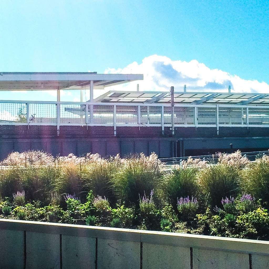 The Living Roof | 1 Ferry Terminal Viaduct, Staten Island, NY 10301, USA | Phone: (347) 915-4114