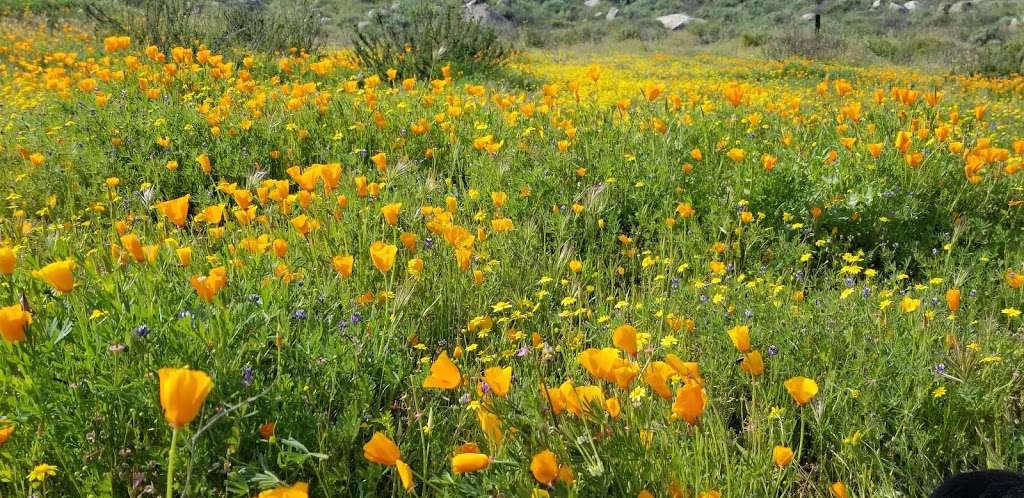 Double Butte County Park | Winchester, CA 92596, USA