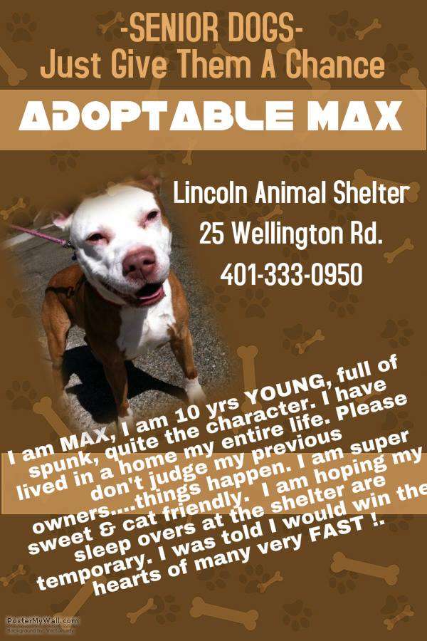 Lincoln Animal Shelter | 25 Wellington Rd, Lincoln, RI 02865, USA | Phone: (401) 333-0950