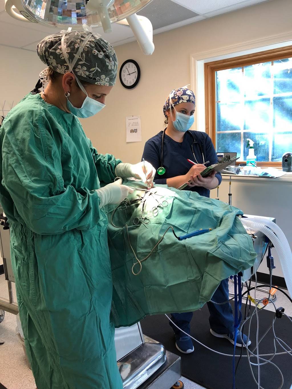 Uxbridge Animal Hospital 510 Hartford Ave W Building D, Uxbridge, MA