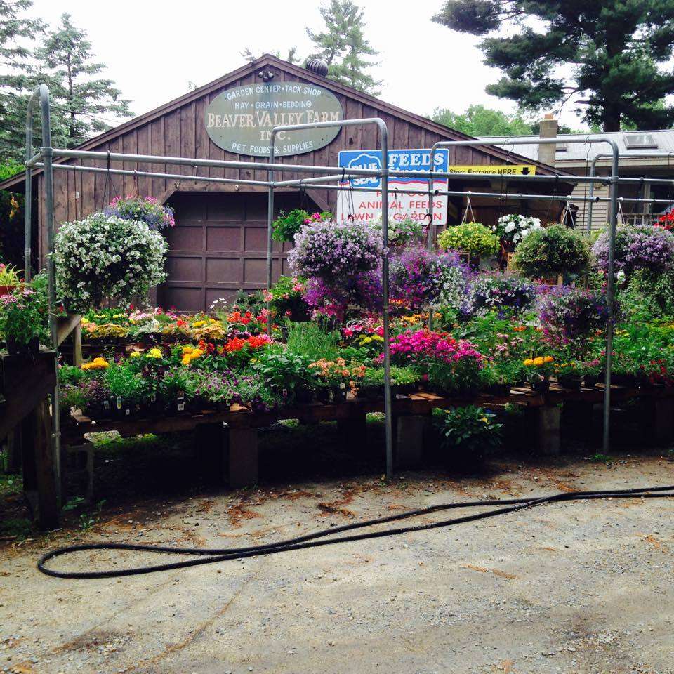 Beaver Valley Farm & Country Store | 17 Main St, Pelham, NH 03076, USA | Phone: (603) 635-2597