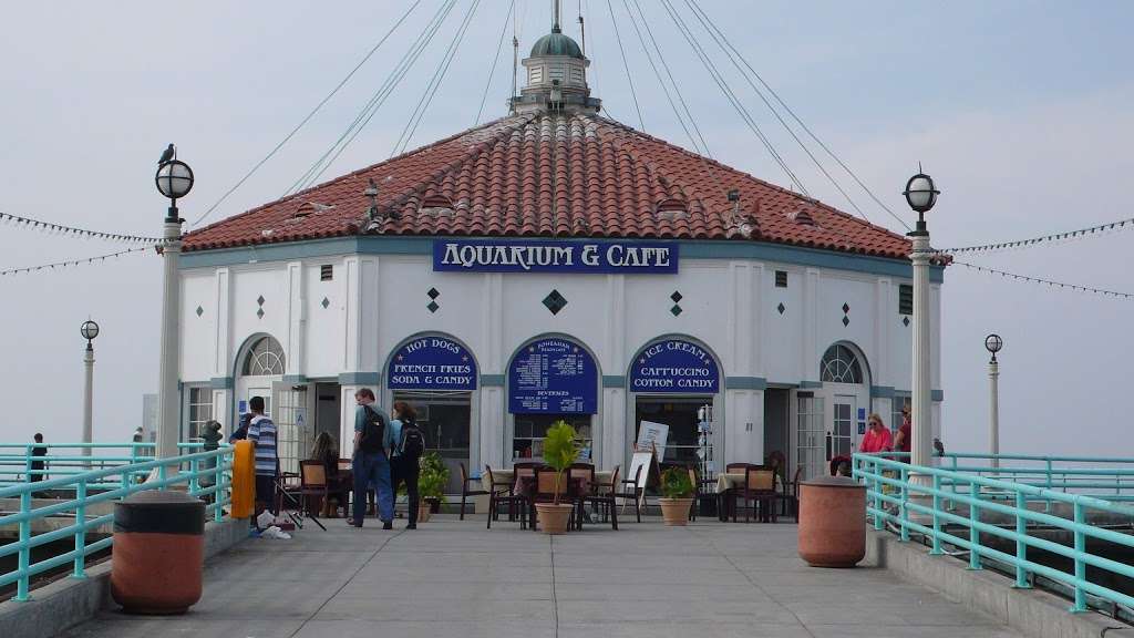Roundhouse Aquarium | Manhattan Beach Pier, Manhattan Beach, CA 90266, USA | Phone: (310) 379-8117