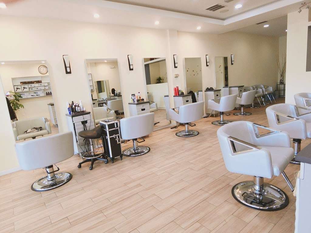 Salon Papillon | 339 E Lancaster Ave, Wynnewood, PA 19096 | Phone: (610) 896-3888