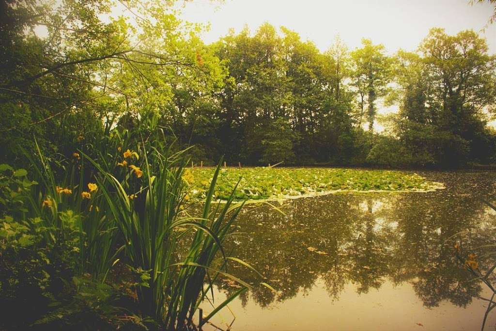 Gobions Open Space Car Park | Jonas Way, Brookmans Park, Hatfield AL9 7RW, UK