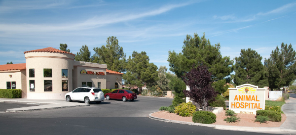 Sun City Animal Hospital | 9320 W Lake Mead Blvd, Las Vegas, NV 89134, USA | Phone: (702) 228-4411