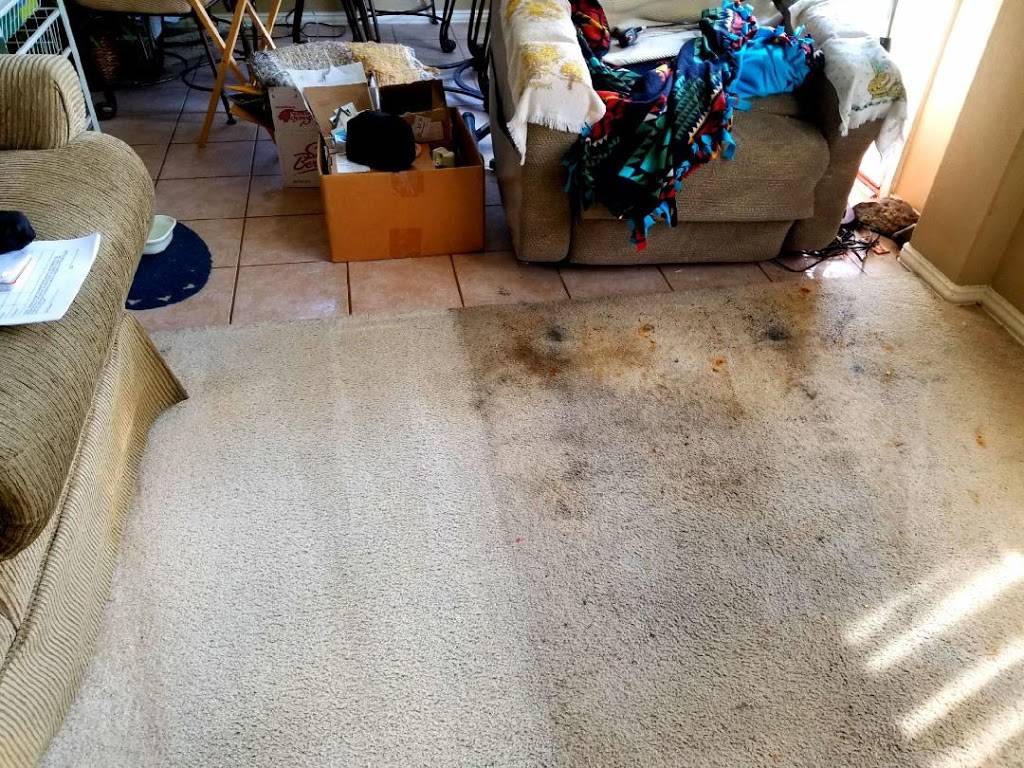 Dirt Free Carpet & Tile Cleaning | 4220 S Padre Island Dr #112, Corpus Christi, TX 78411 | Phone: (361) 882-5326
