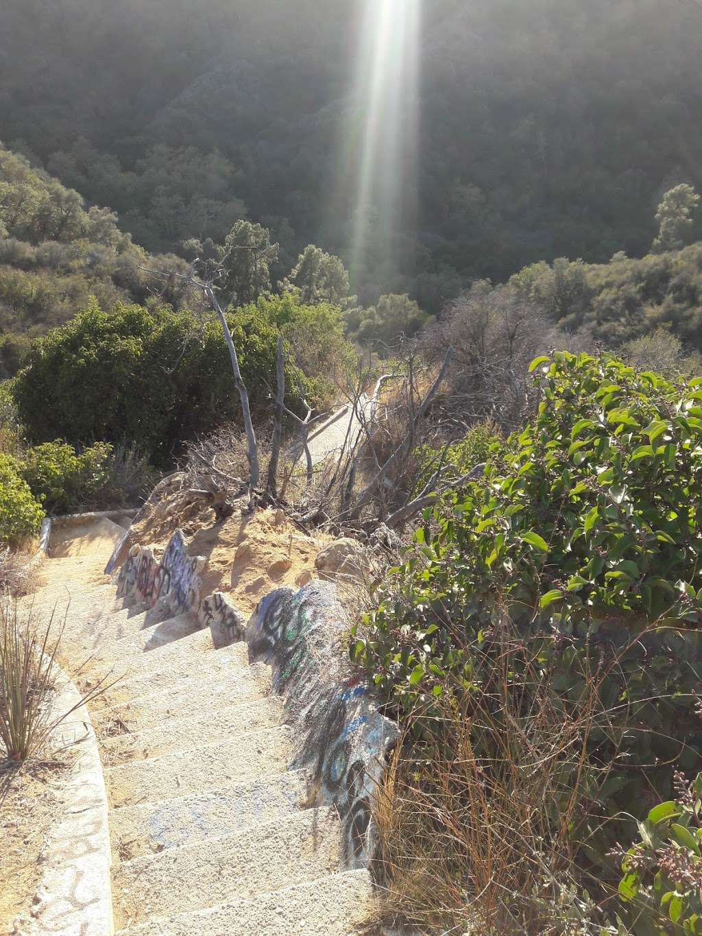 Murphy Ranch West Stairs | Los Angeles, CA 90049