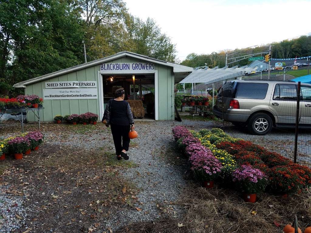 Blackburn Growers & Garden Center | 46 US-206, Branchville, NJ 07826, USA | Phone: (973) 948-3700
