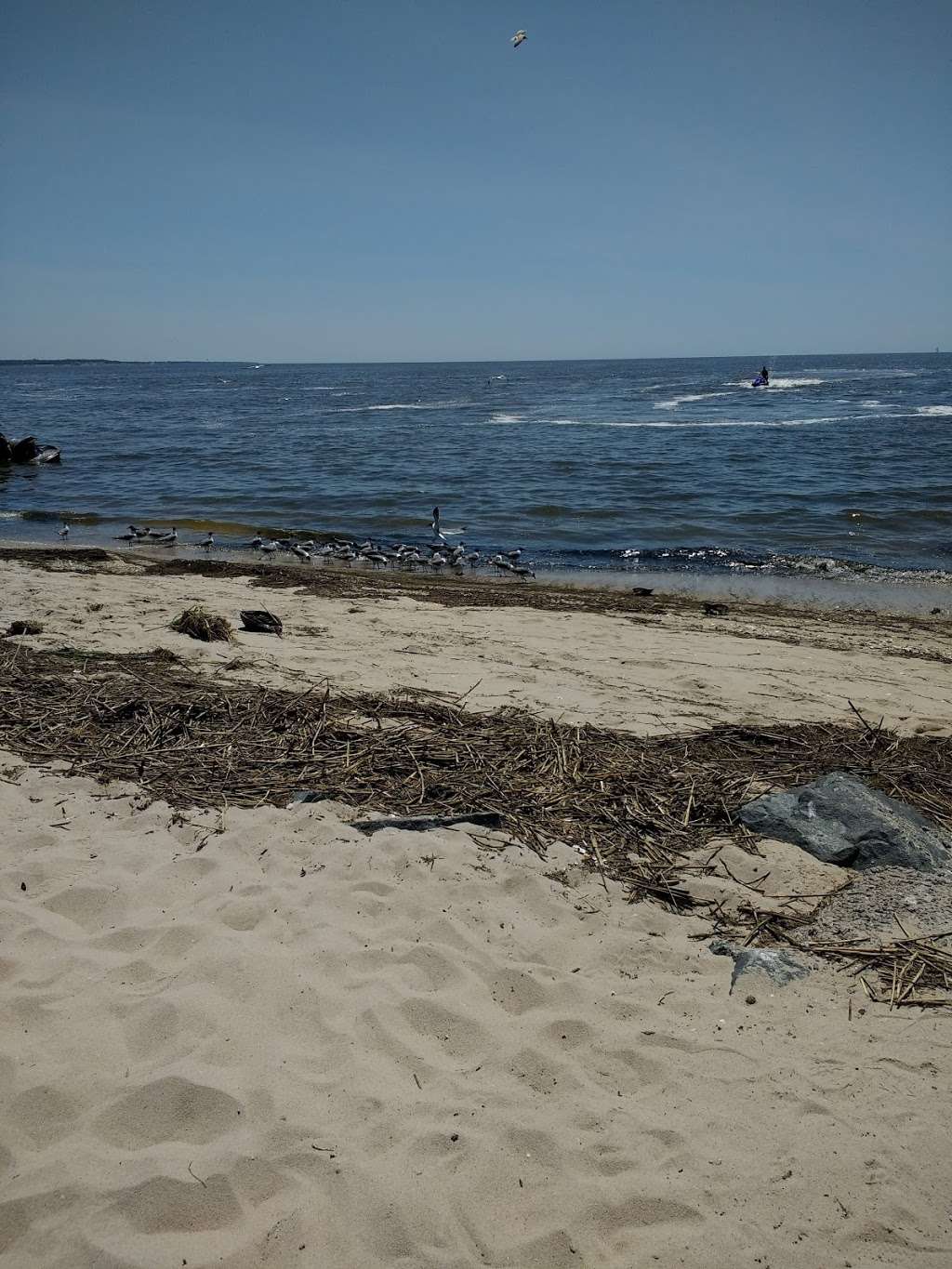 Reeds Beach Jetty | 125 N Beach Dr, Cape May Court House, NJ 08210, USA