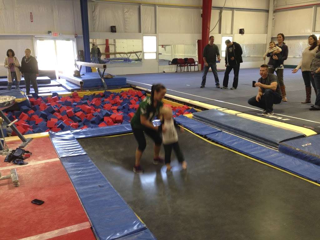 Action Gymnastics and Junglerrrific Birthday Parties | 600 Rike Dr, Millstone, NJ 08535, USA | Phone: (609) 336-0040