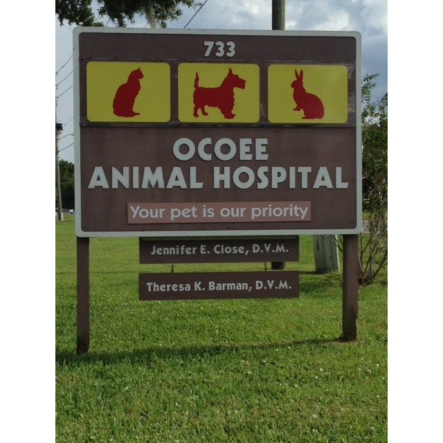 Ocoee Animal Hospital | 733 S Bluford Ave, Ocoee, FL 34761 | Phone: (407) 656-6050