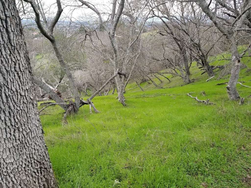 Quicksilver park parking | Unnamed Road, San Jose, CA 95120