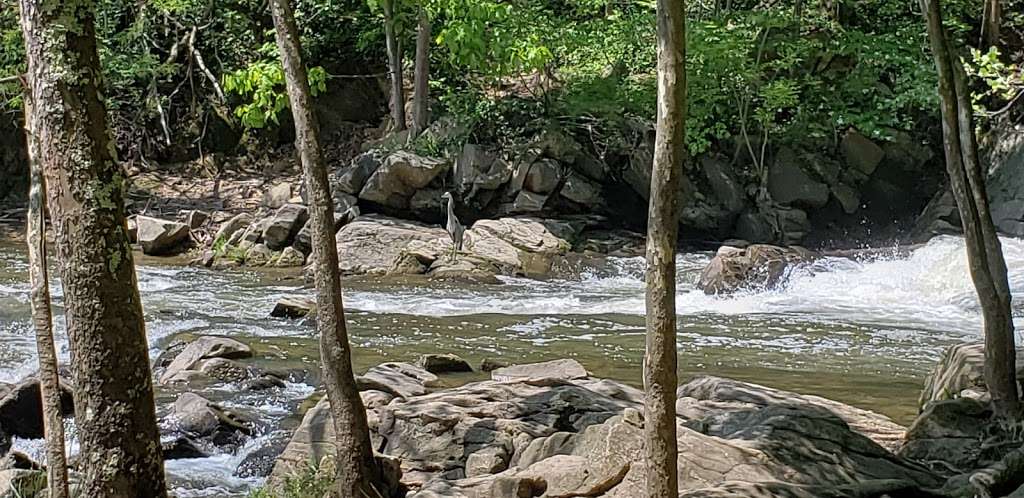 McKeldin Rapids Hike | 5, Freedom, MD 21104