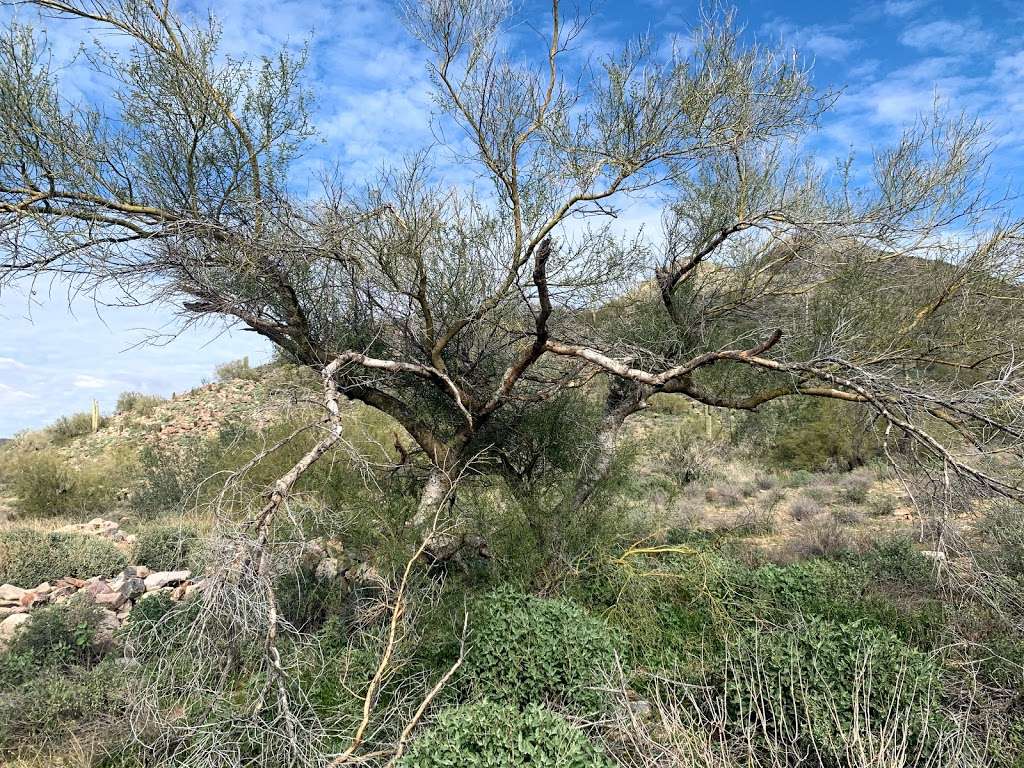 Old Mission Fort | Scottsdale, AZ 85255, USA