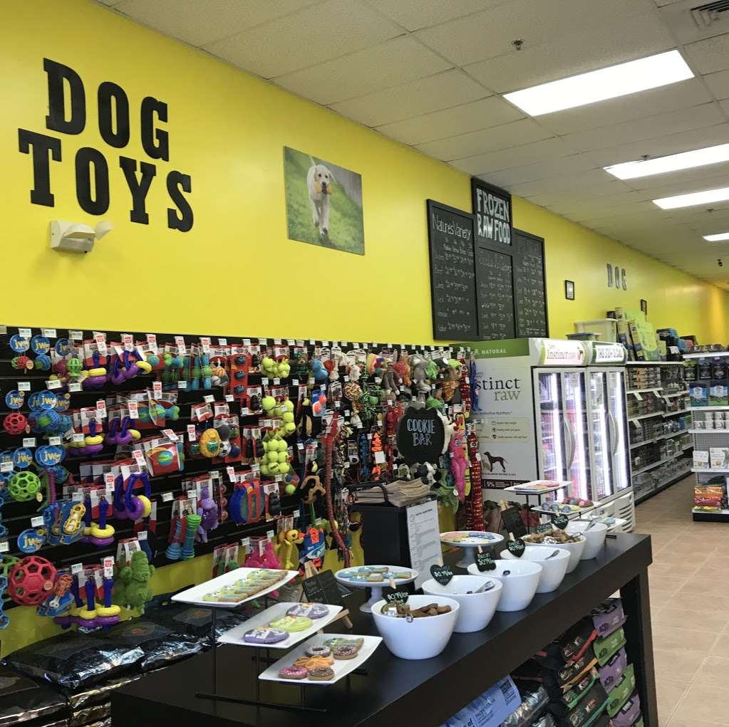 All 4 Pets - Avalon Park | 425 Avalon Park S Blvd, Orlando, FL 32828 | Phone: (407) 282-4406