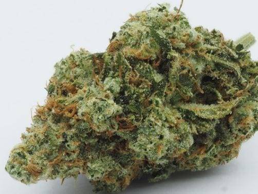 Essential Buds 20 Cap | 10719 La Mirada Blvd, Whittier, CA 90604, USA | Phone: (562) 479-8206