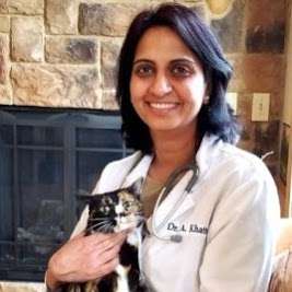 Forest Home Animal Clinic: Abha Khatter, DVM | 11222 W Forest Home Ave Room #3, Franklin, WI 53132, USA | Phone: (414) 425-2340