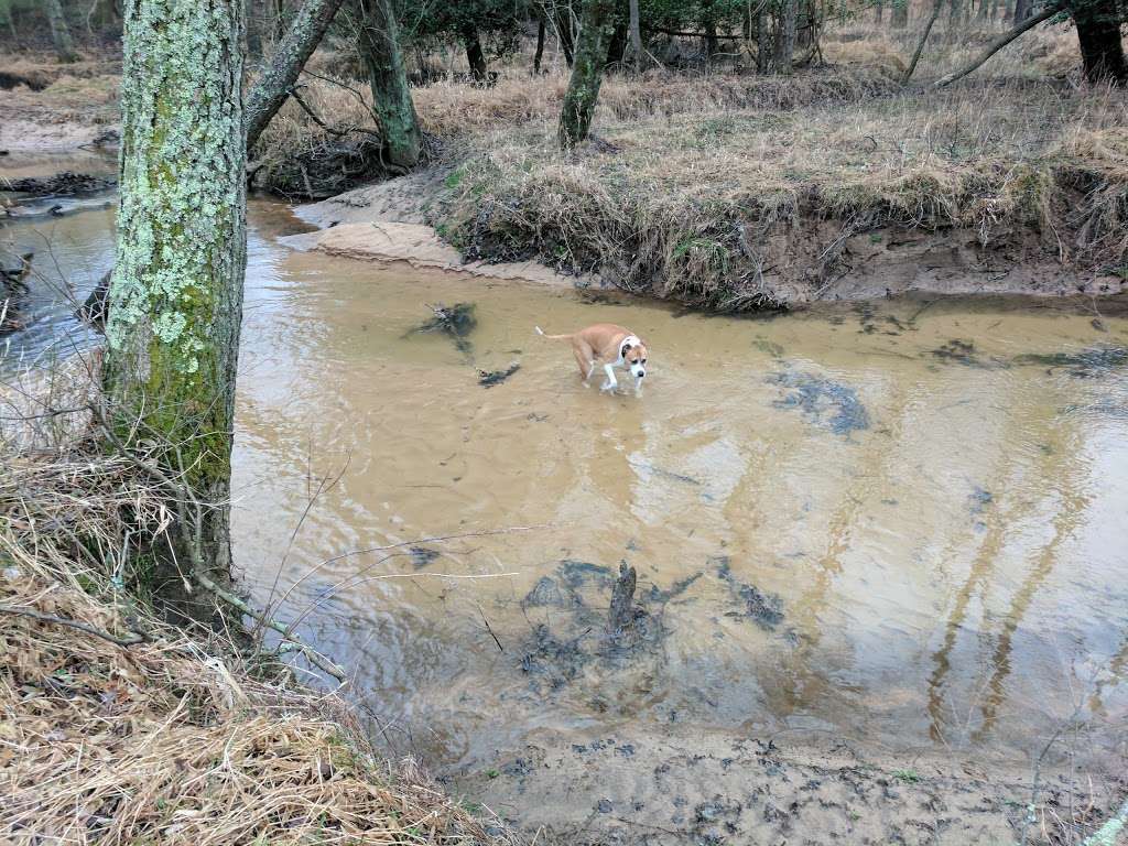 Severn Run Natural Environment Area | Severn, MD 21144, USA | Phone: (877) 620-8367