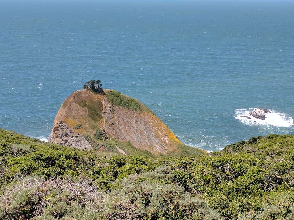 Two Pines | San Francisco Peninsula, California, Half Moon Bay, CA 94019, USA