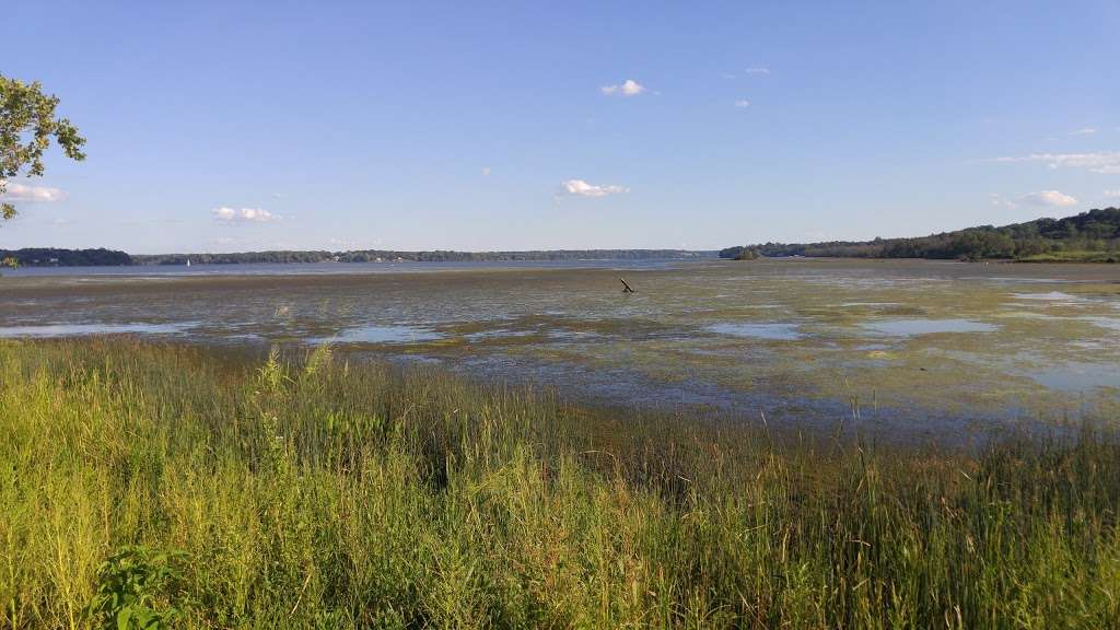 Belle Haven Park, Virginia | Alexandria, VA 22307, USA