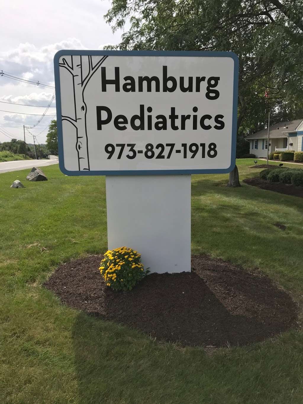 hamburg pediatrics | 3617 route 94, Hamburg, NJ 07419, USA | Phone: (973) 827-1918