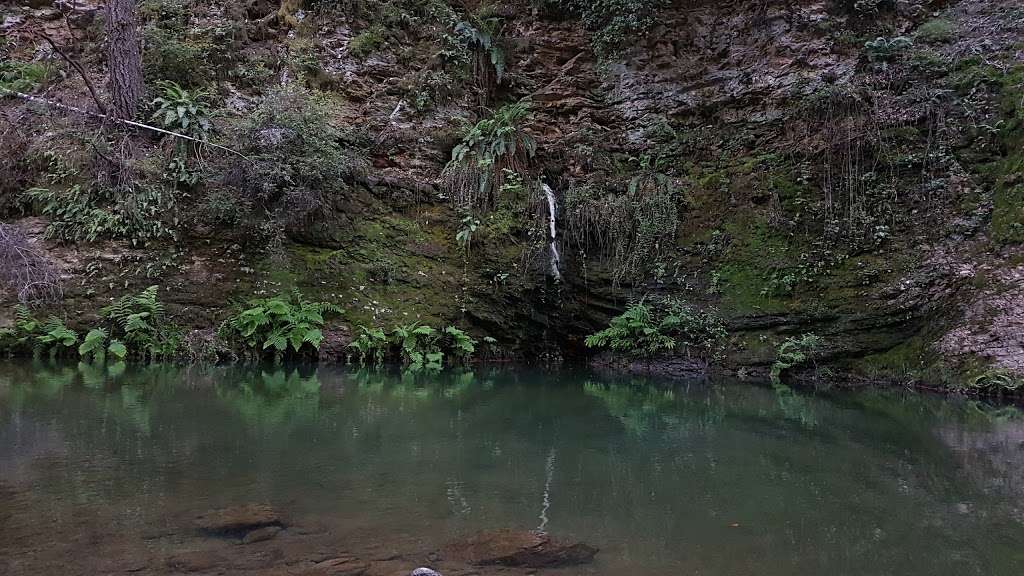 Point Group Camp, Portola Redwoods State Park | Point Group Camp Rd, La Honda, CA 94020, USA Point Group Camp, Portola Redwoods State Park | Point Group Camp Rd, La Honda, CA 94020, USA