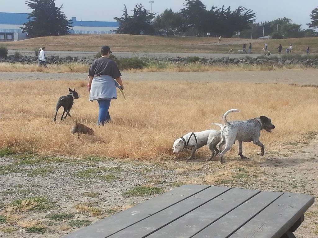 Point Isabel Dog Park | Richmond, CA 94804, USA