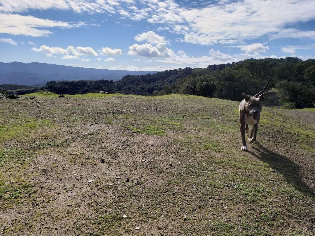 Loma Verde Preserve | Novato, CA 94949, USA | Phone: (415) 473-4381