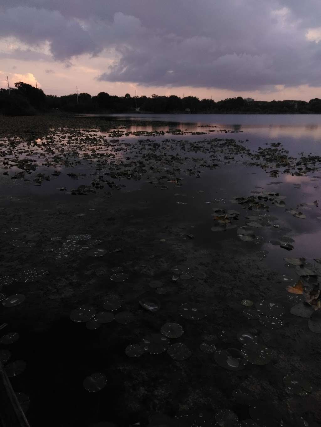 Lake Maude Nature Park | 1799-1701 7th St NE, Winter Haven, FL 33881, USA