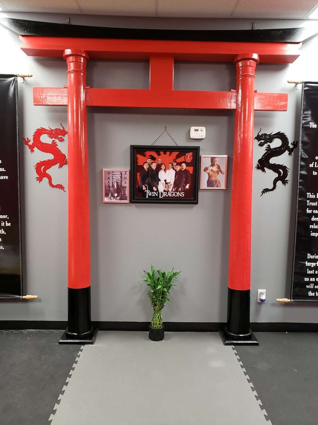 Twin Dragons Mixed Martial Arts & Fitness | 2504 25th Ave N STE 9, Texas City, TX 77590, USA | Phone: (409) 998-4600