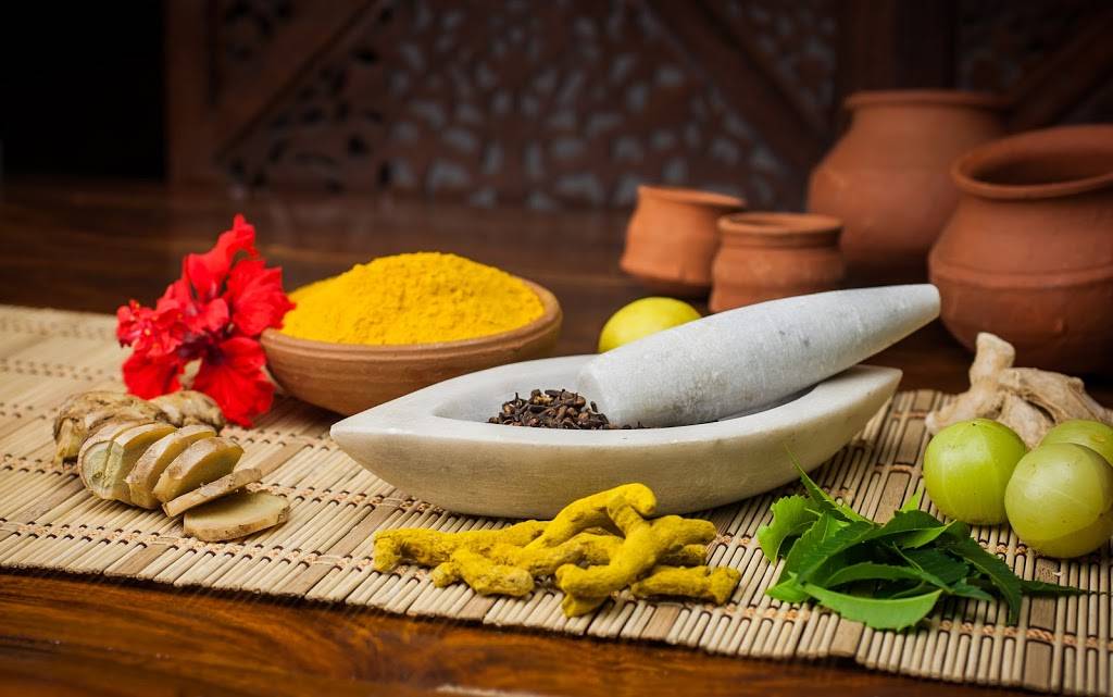 AyurRoots Ayurveda Wellness | 6101 Chapel Hill Blvd #201-L, Plano, TX 75093, USA | Phone: (214) 801-1238