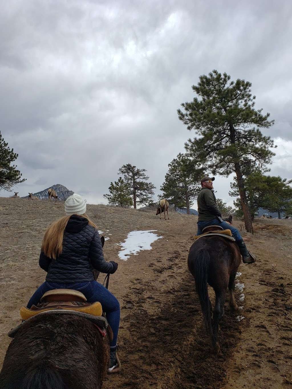 Sombrero stables | 1895 Big Thompson Ave, Estes Park, CO 80517