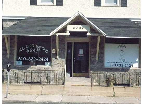 Doggy Spa | 3707 Garrett Rd, Drexel Hill, PA 19026, USA | Phone: (610) 622-2424