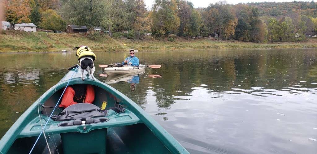 Landers River Trips Campground | Narrowsburg, NY 12764, USA