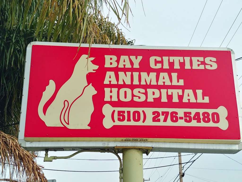 Bay Cities Animal Hospital | 1104, 696 E Lewelling Blvd, Hayward, CA 94541 | Phone: (510) 276-5480