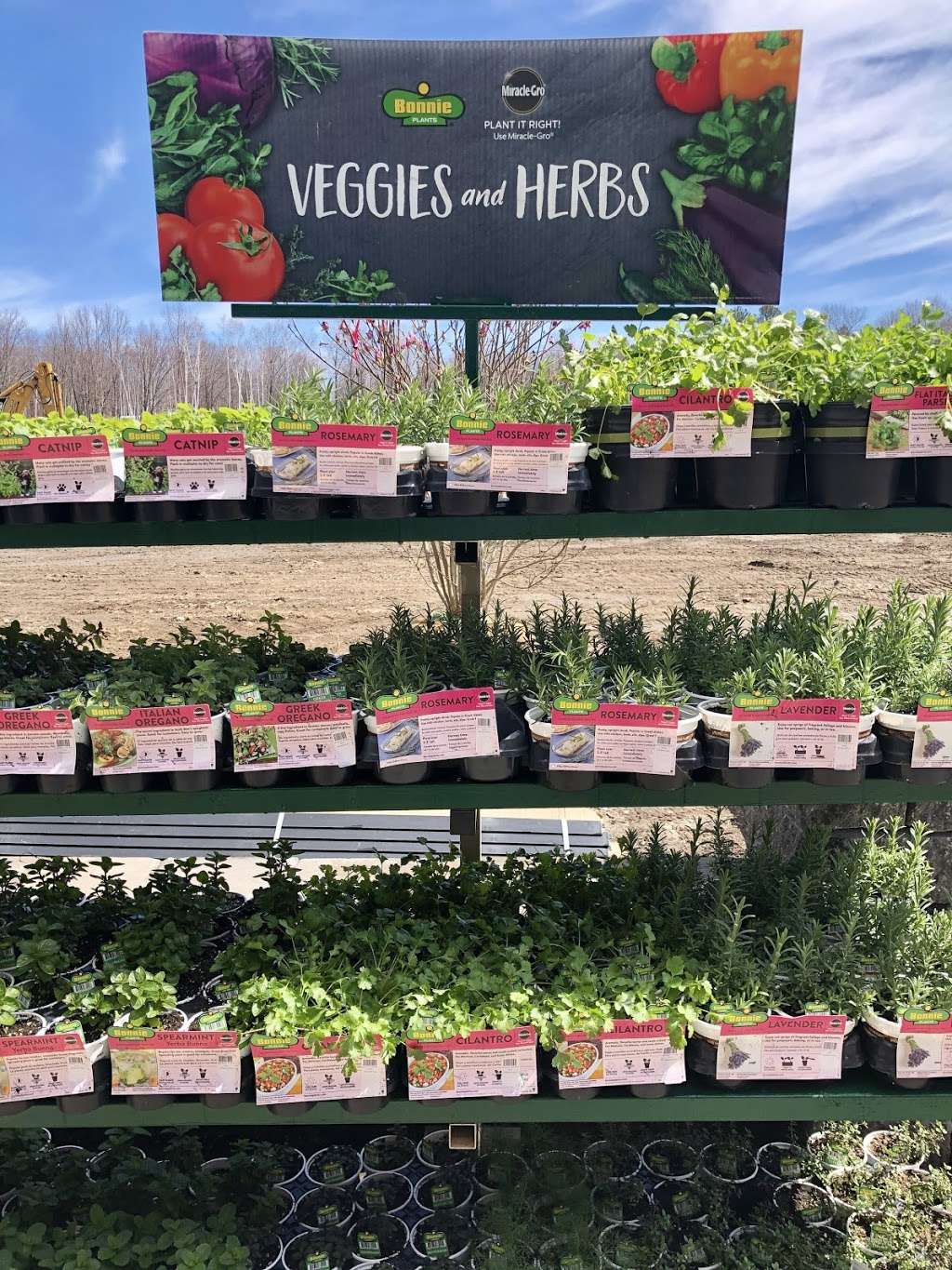 Springlook Farm Garden Center, Nursery, Florist | 112 Island Pond Rd, Derry, NH 03038 | Phone: (603) 432-8600