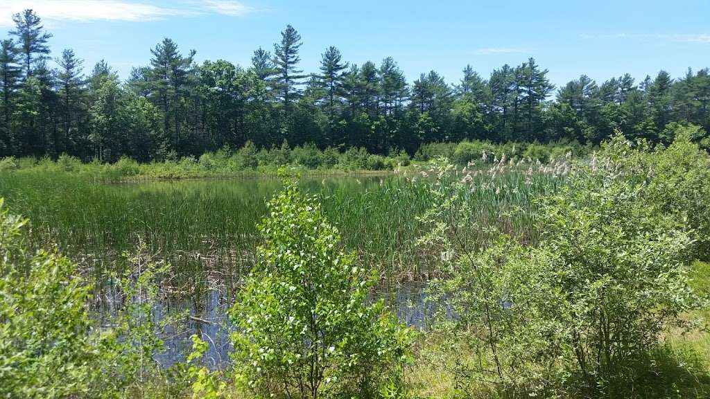 Blueberry Knoll Wildlife Area | Stanley Rd, Norton, MA 02766 | Phone: (508) 285-7566