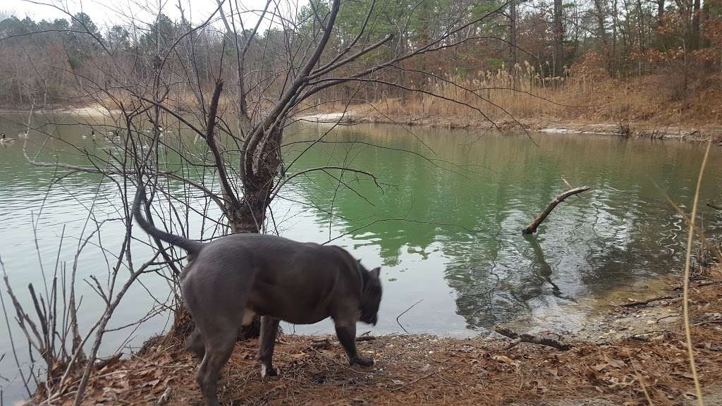 South Vineland Disc Golf Course- Crystal Lake | W Elmer Rd, Vineland, NJ 08360