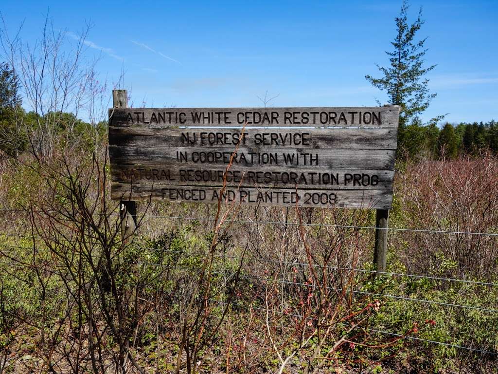 Atlantic White Cedar Preserve | Vincentown, NJ 08088, USA