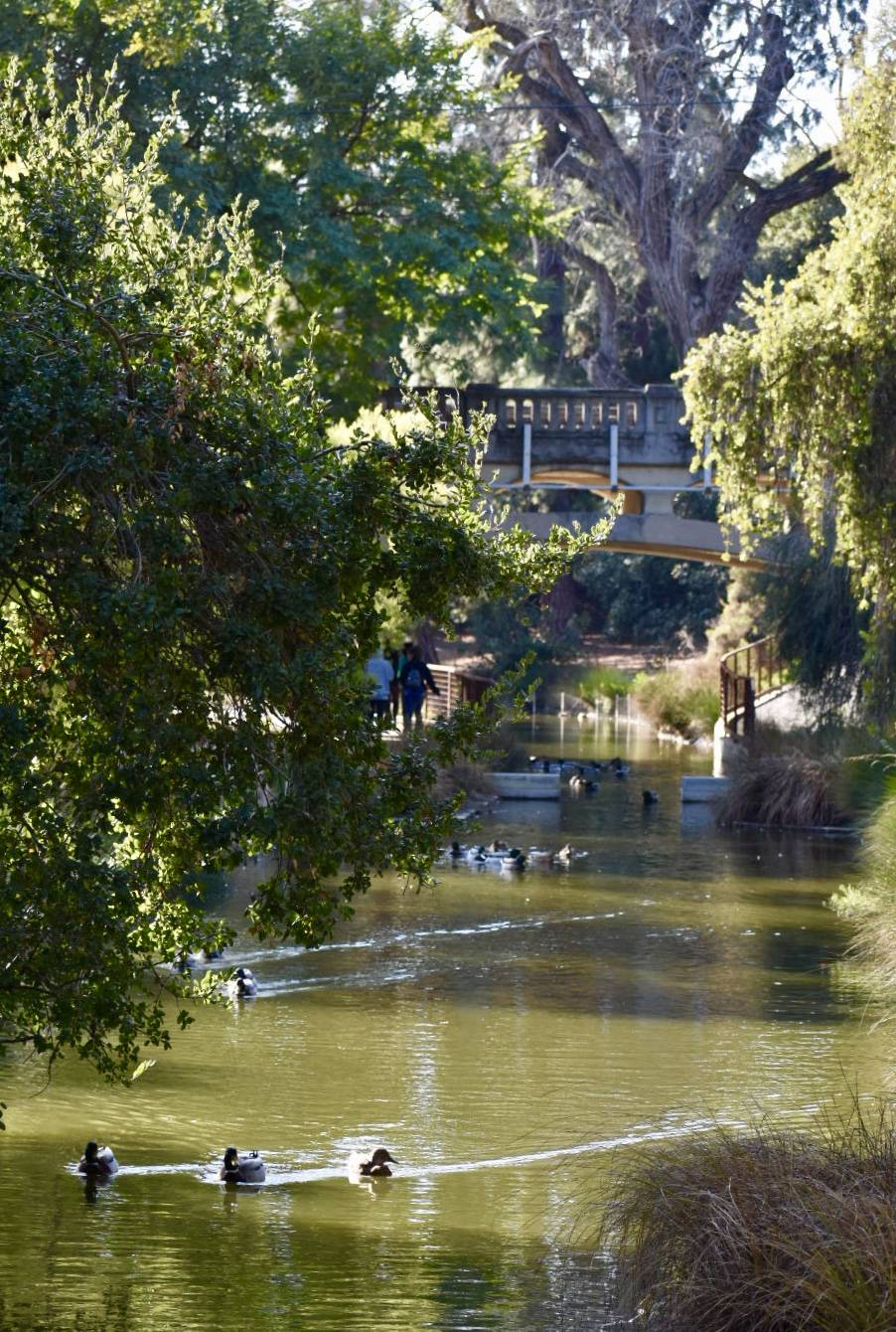 UC Davis Arboretum Gazebo | Garrod Dr, Davis, CA 95616 | Phone: (530) 752-4880