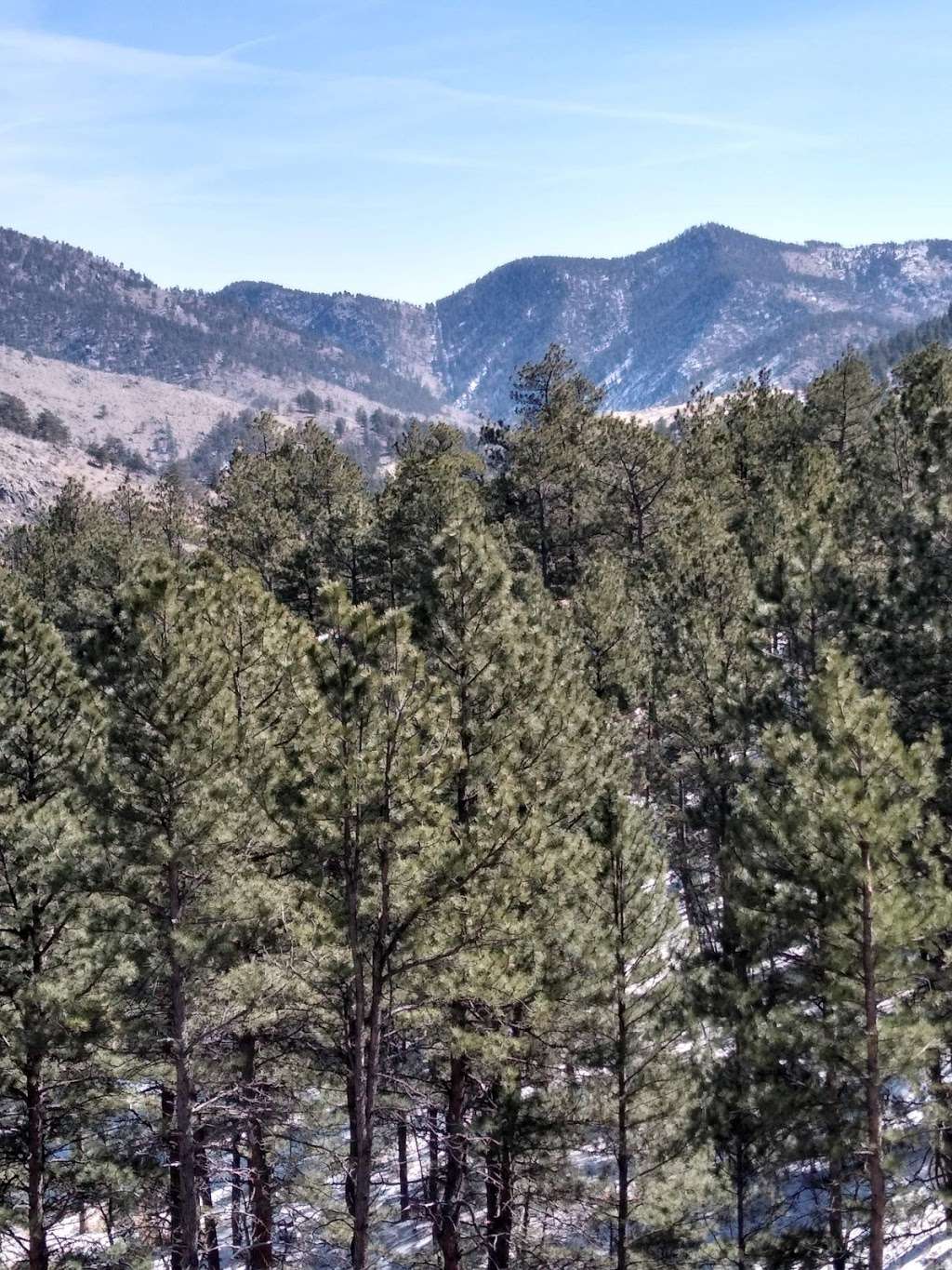 Edmondson Park | 4900 Ranch Acres Dr, Loveland, CO 80538, USA | Phone: (970) 962-2727