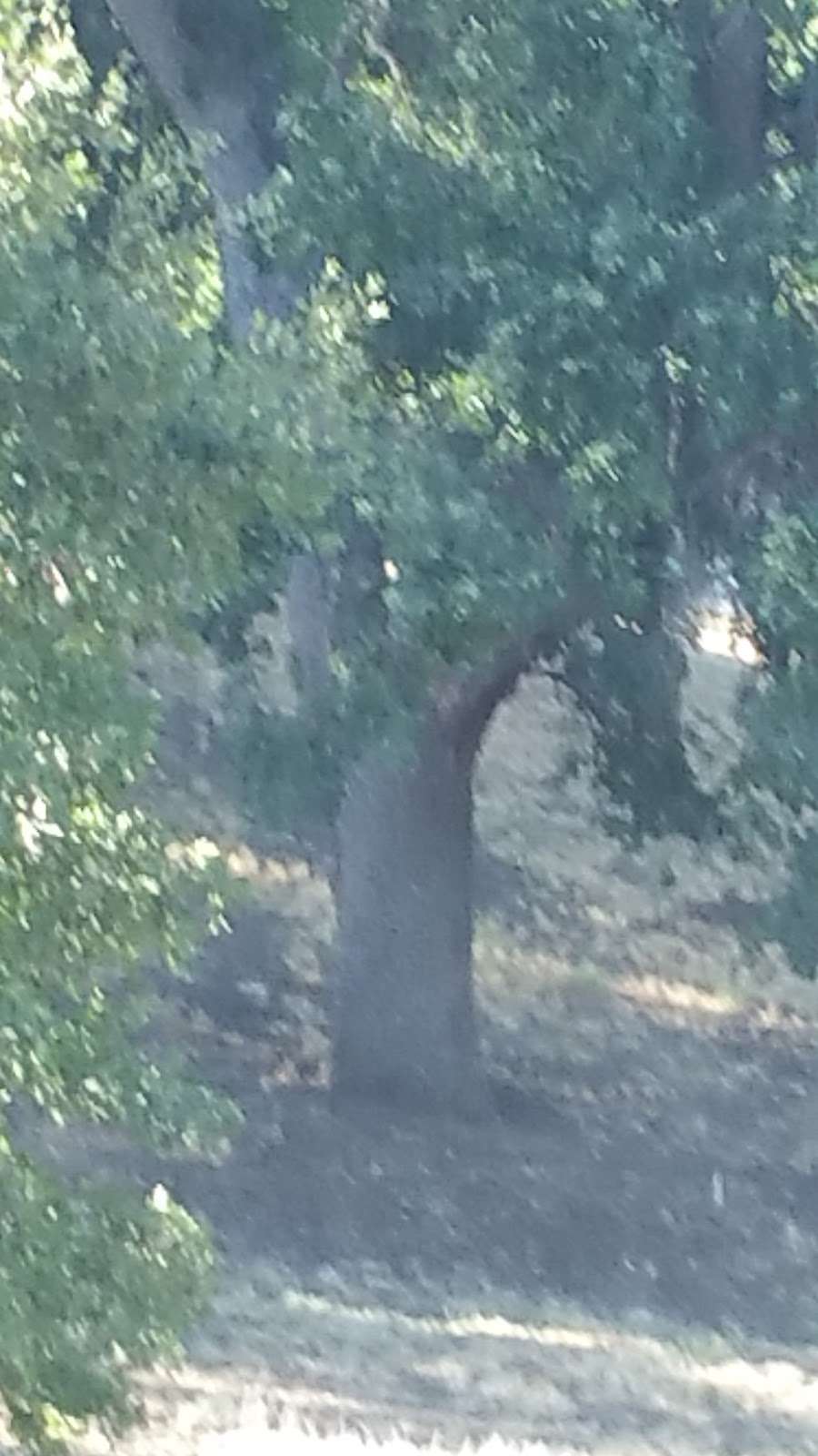 Tehachapi Candle Co | 17551 Bold Venture Dr, Tehachapi, CA 93561, USA | Phone: (661) 330-8607