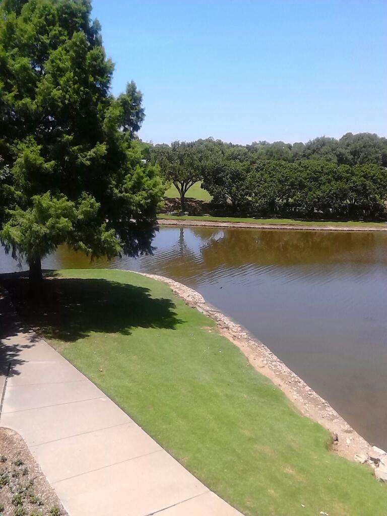 Farmers Branch Manske Library | 13613 Webb Chapel Rd, Farmers Branch, TX 75234 | Phone: (972) 247-2511